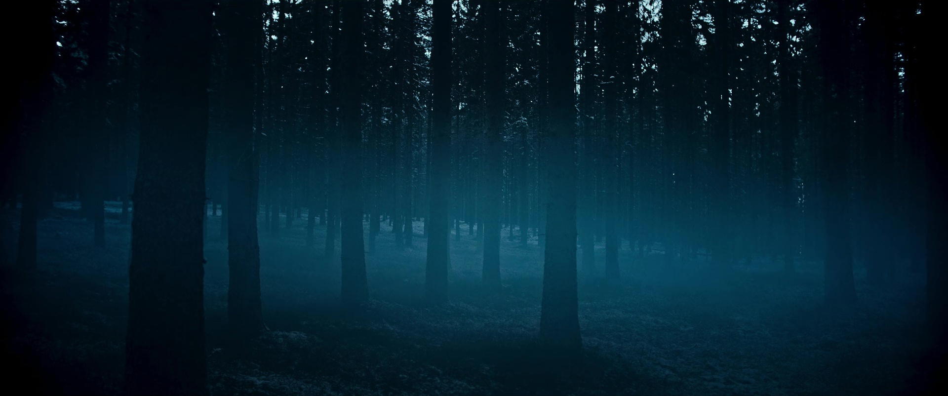 Im Westen nichts Neues