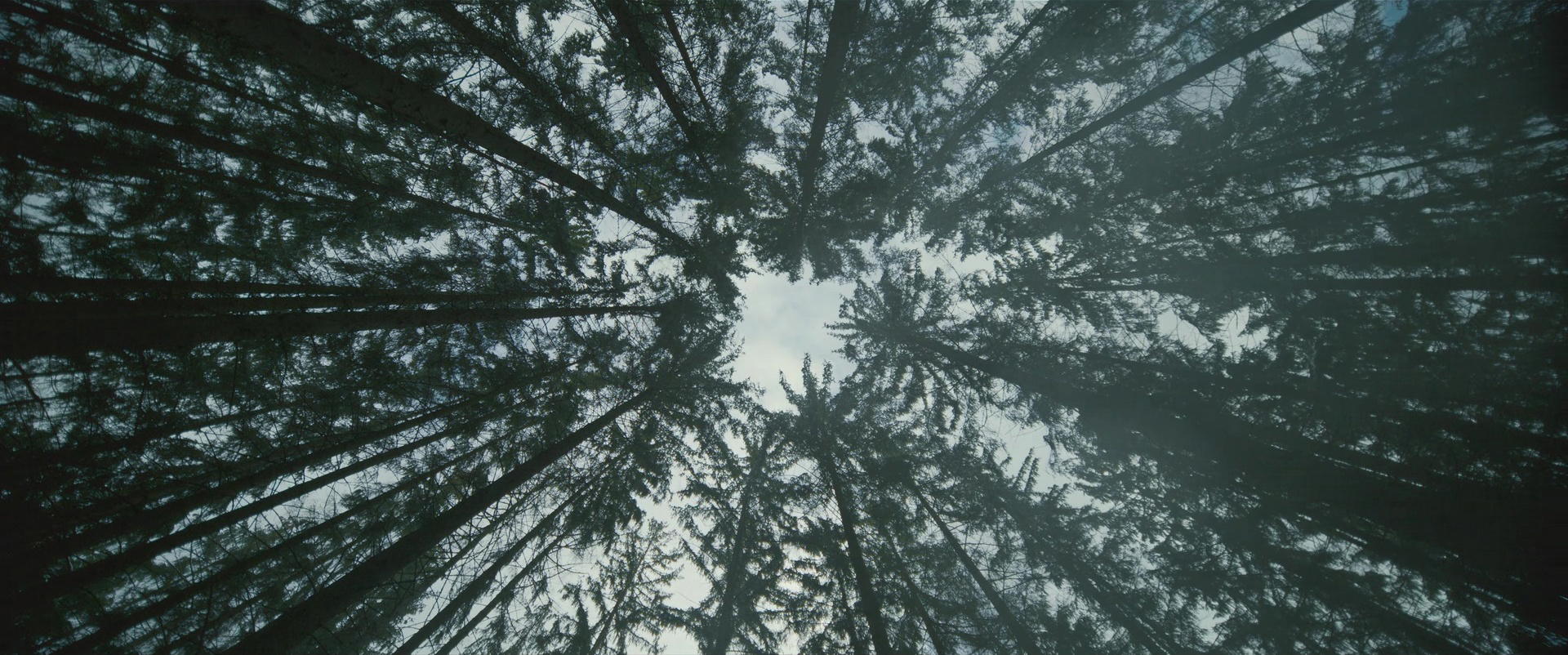 Im Westen nichts Neues