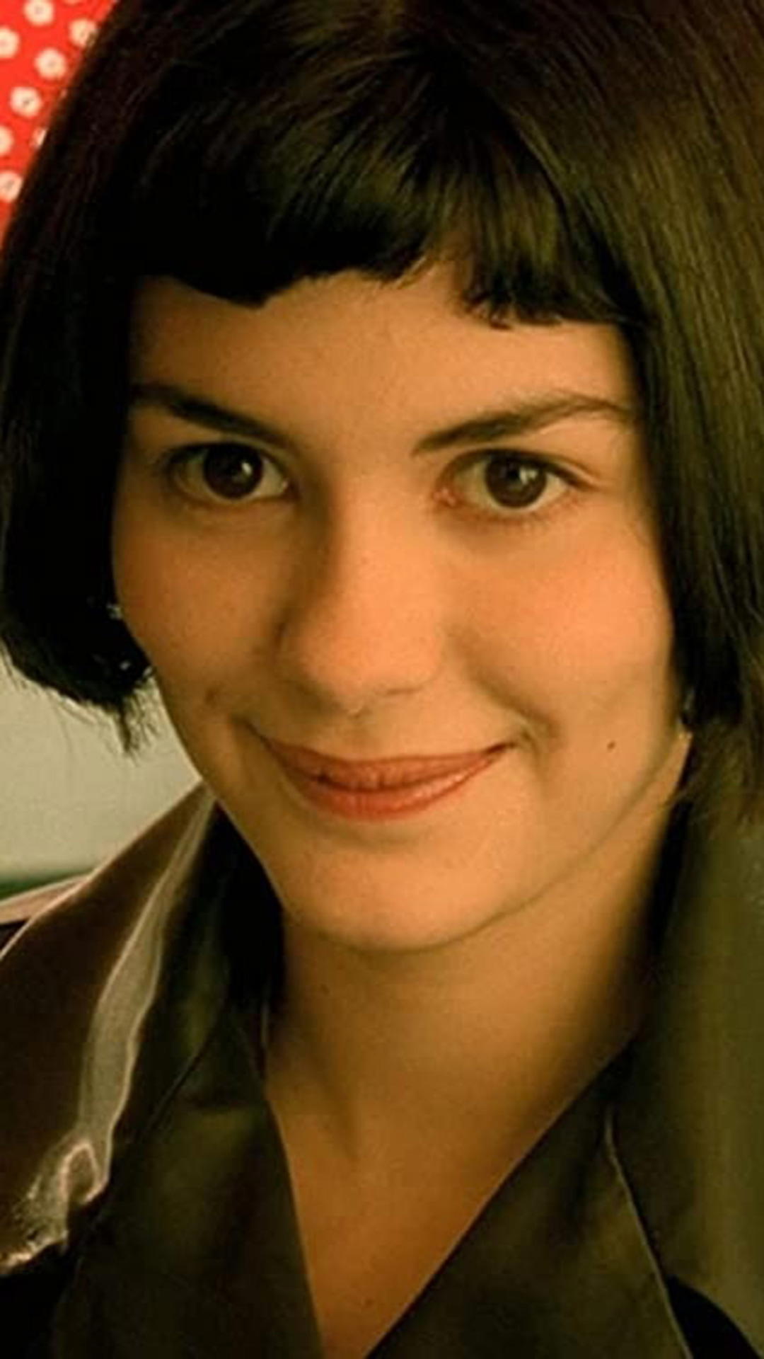 Le Fabuleux Destin d'Amélie Poulain