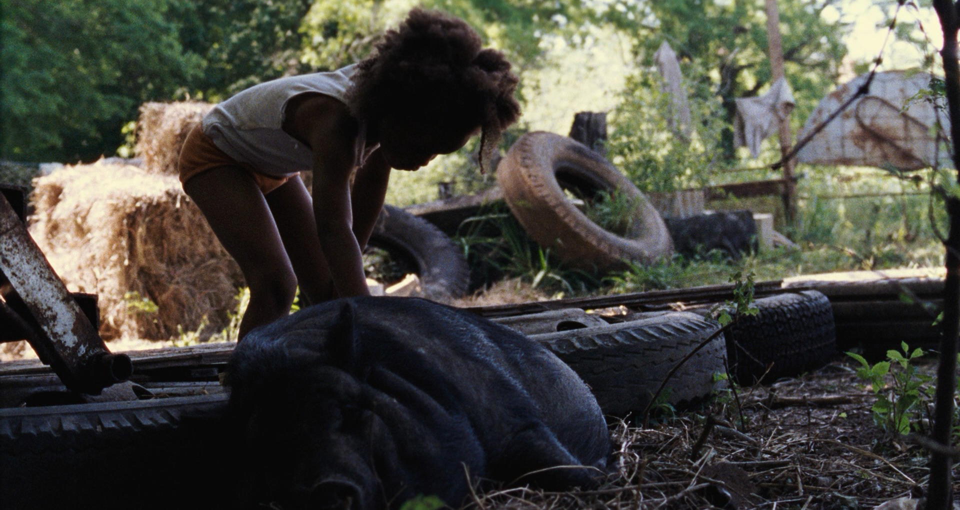 Beasts of the Southern Wild