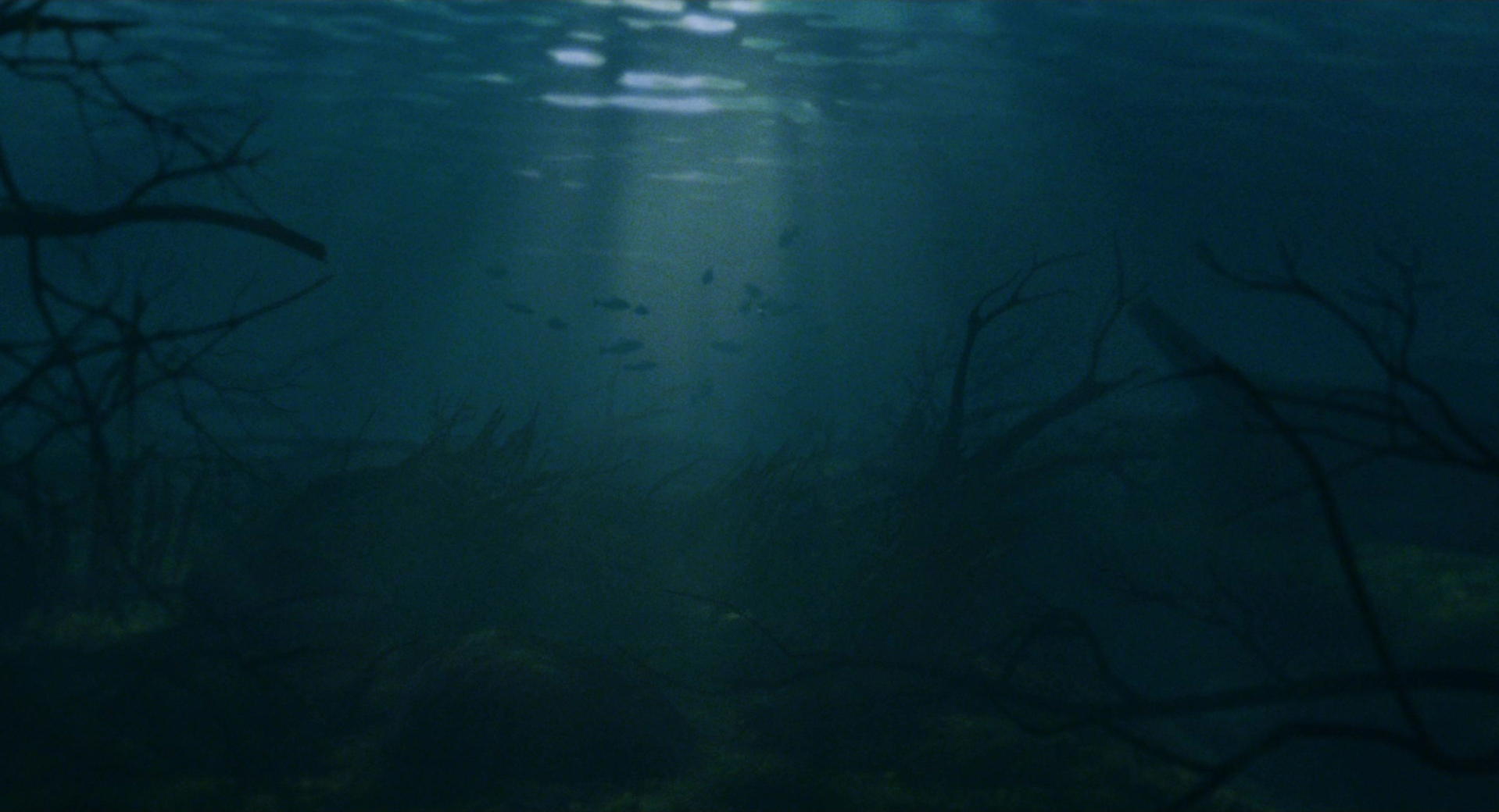 Big Fish