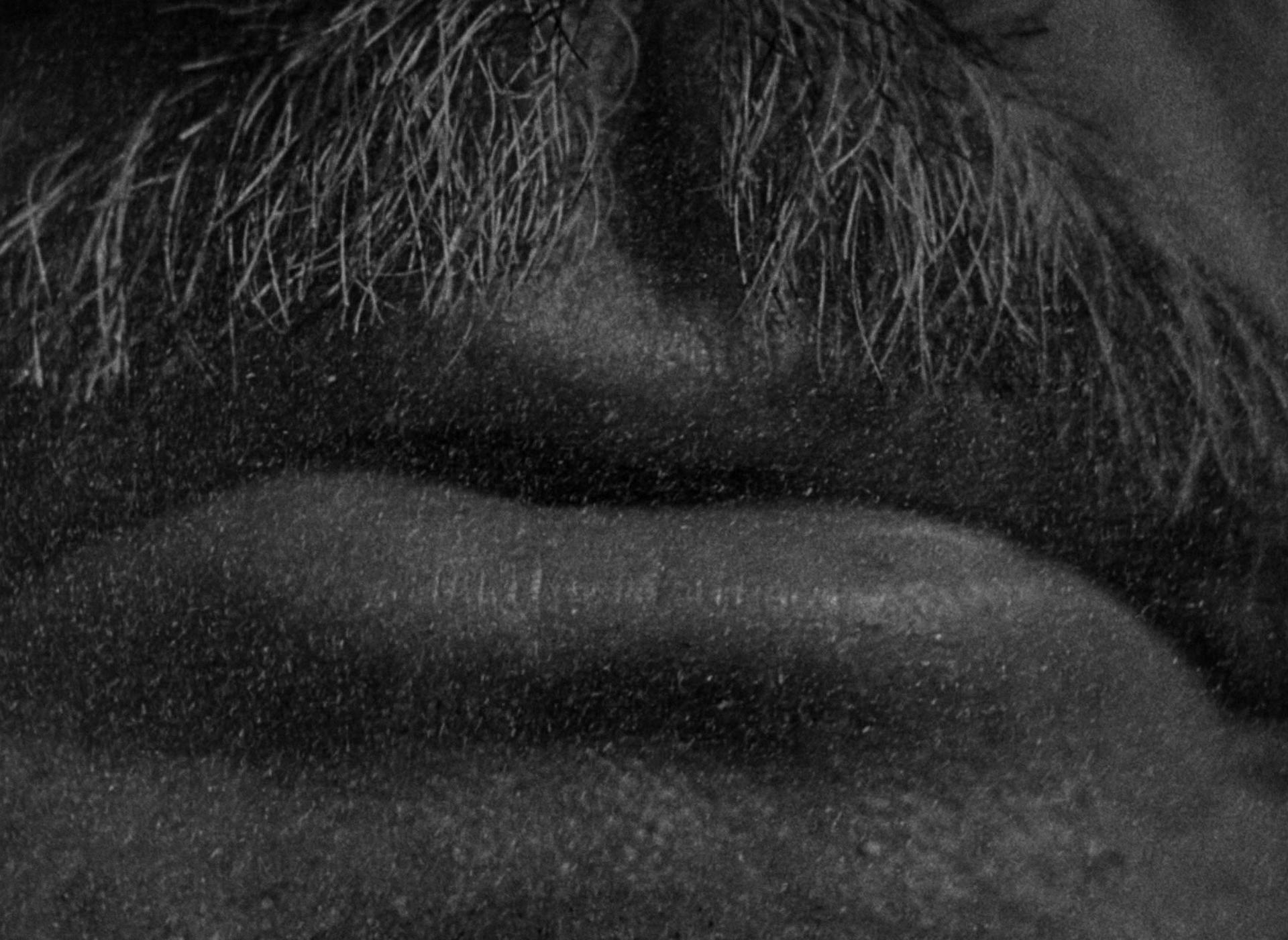 Citizen Kane