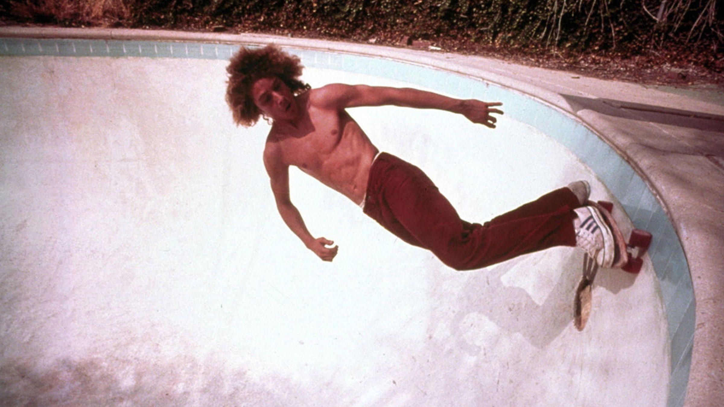 Dogtown and Z-Boys