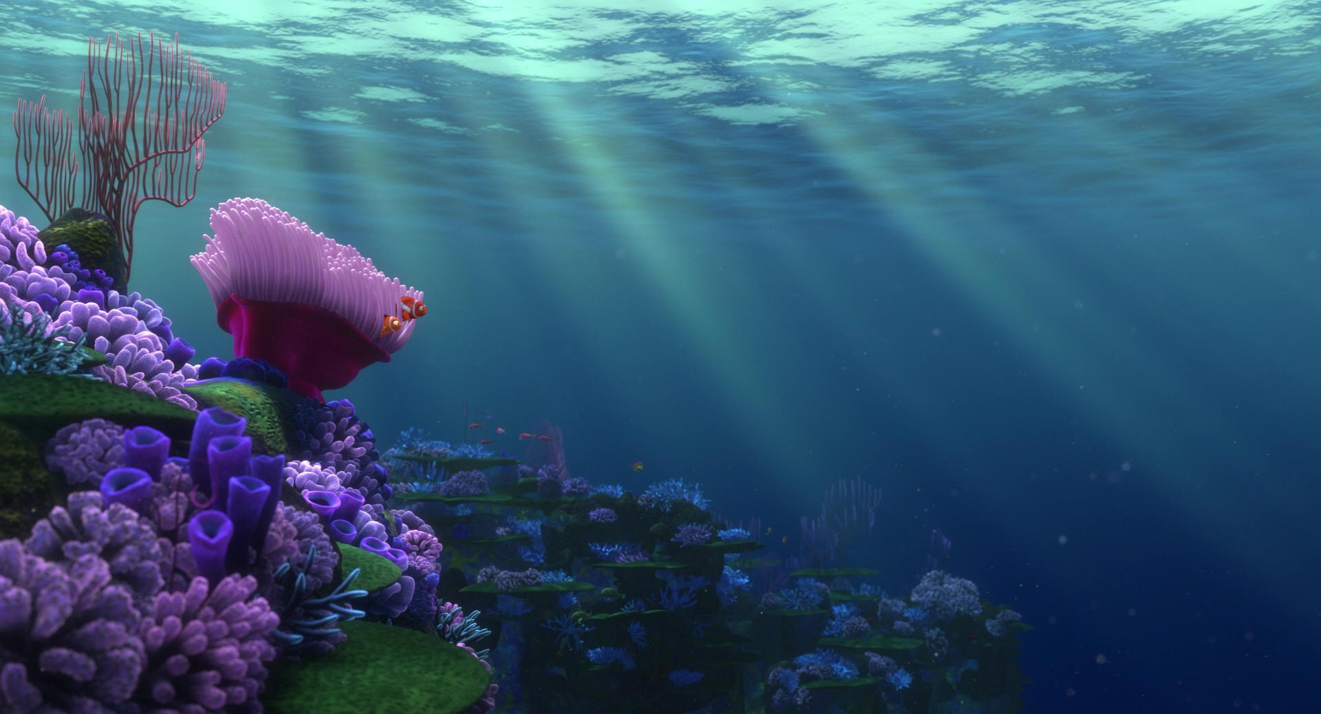 Finding Nemo