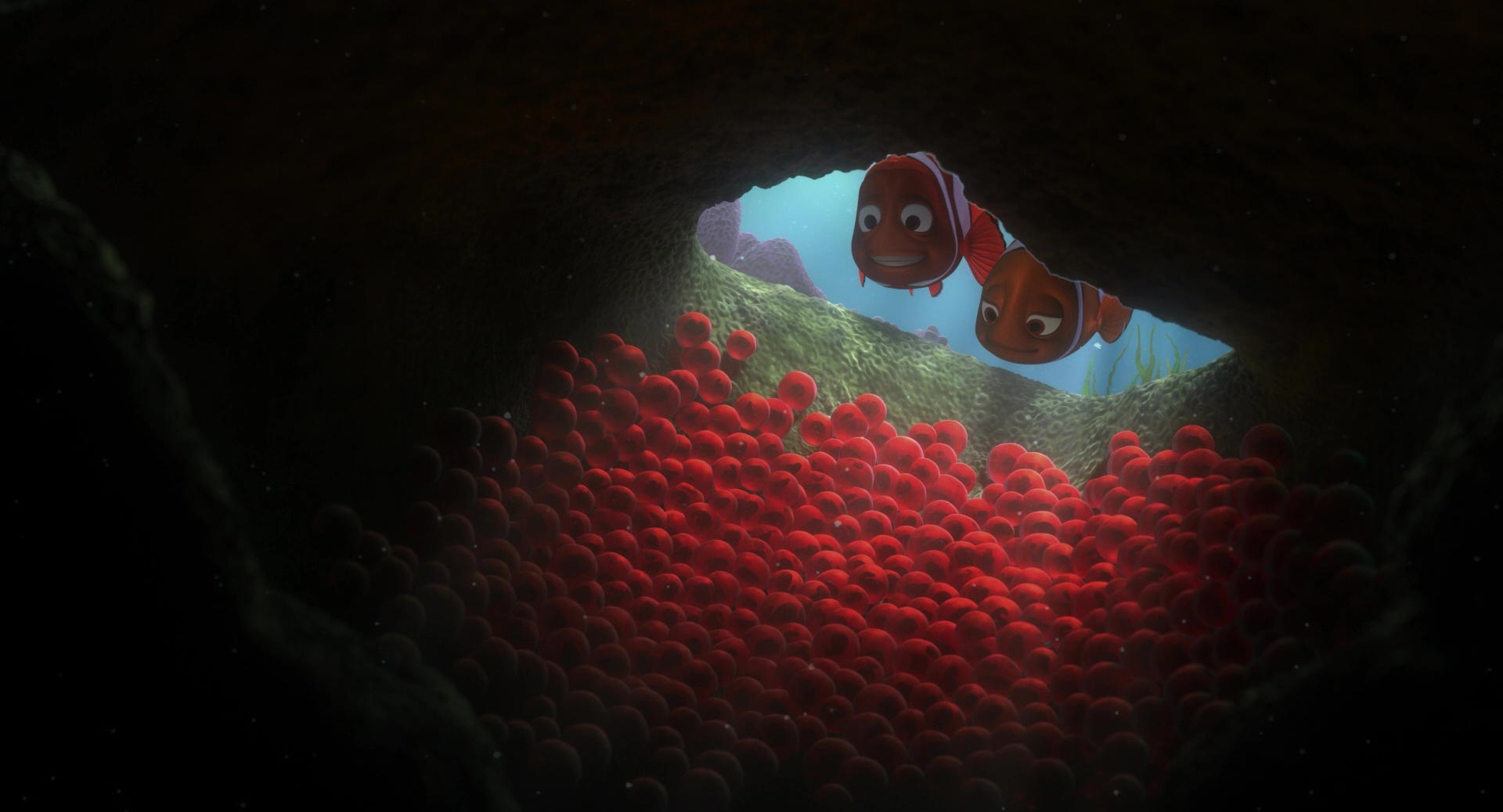 Finding Nemo