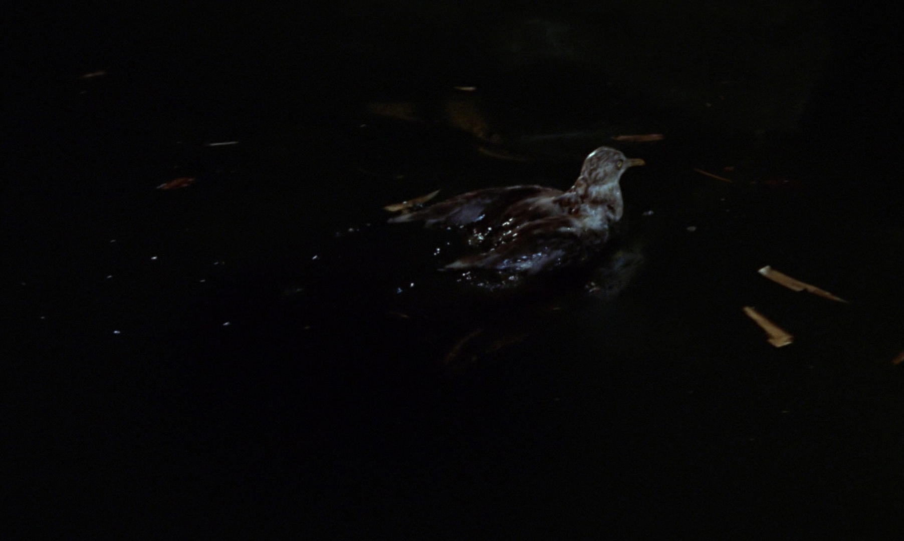 Goldfinger
