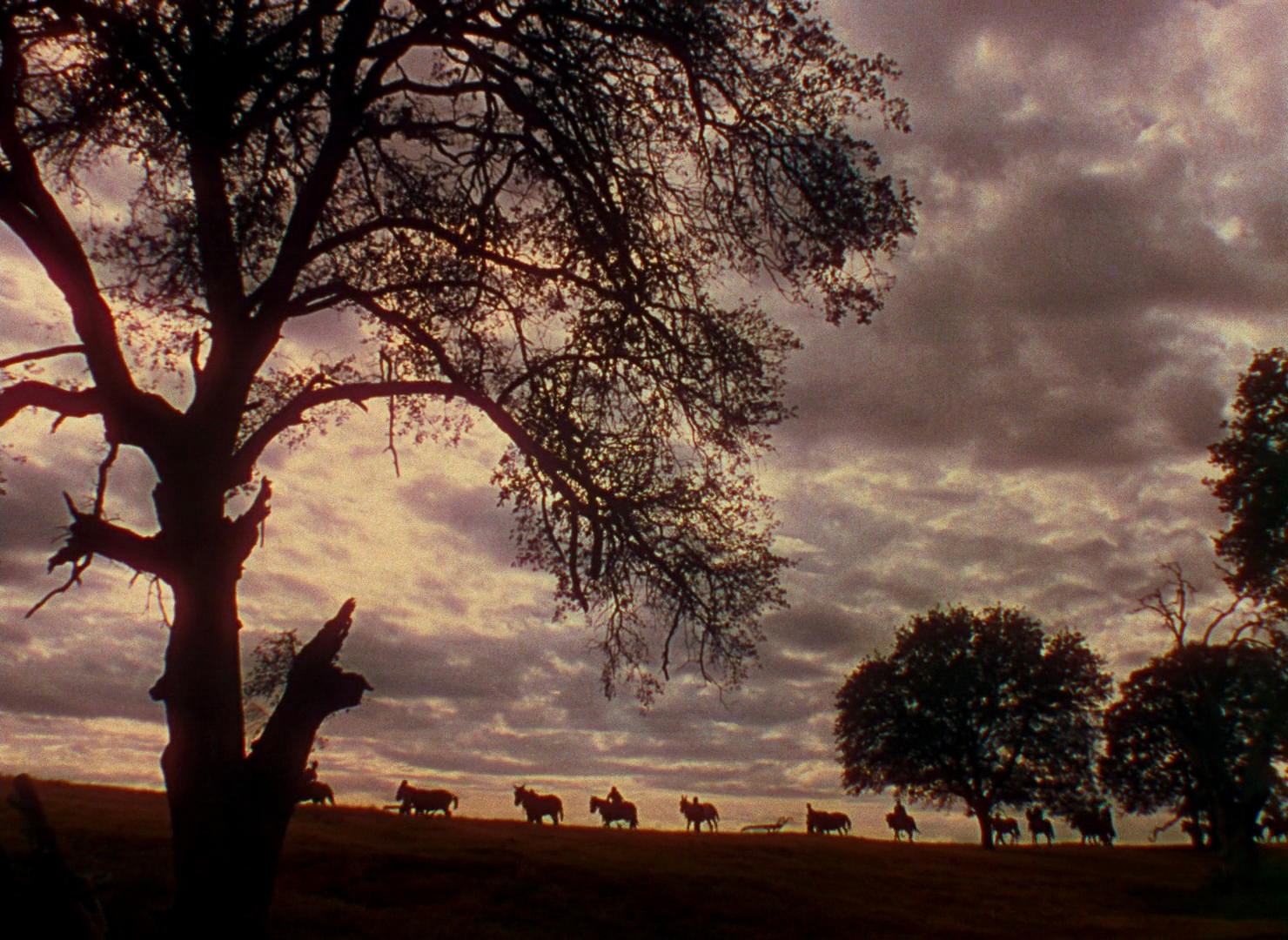 Gone with the Wind