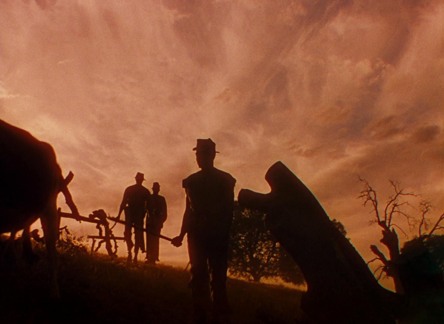 Gone with the Wind