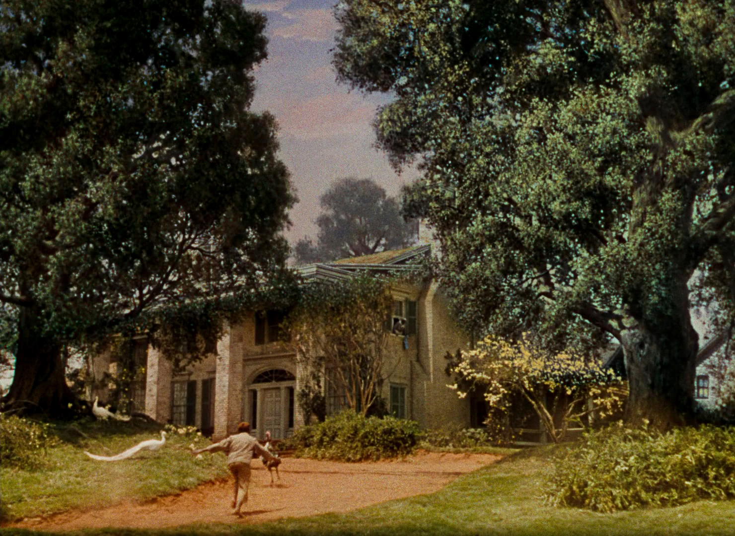Gone with the Wind