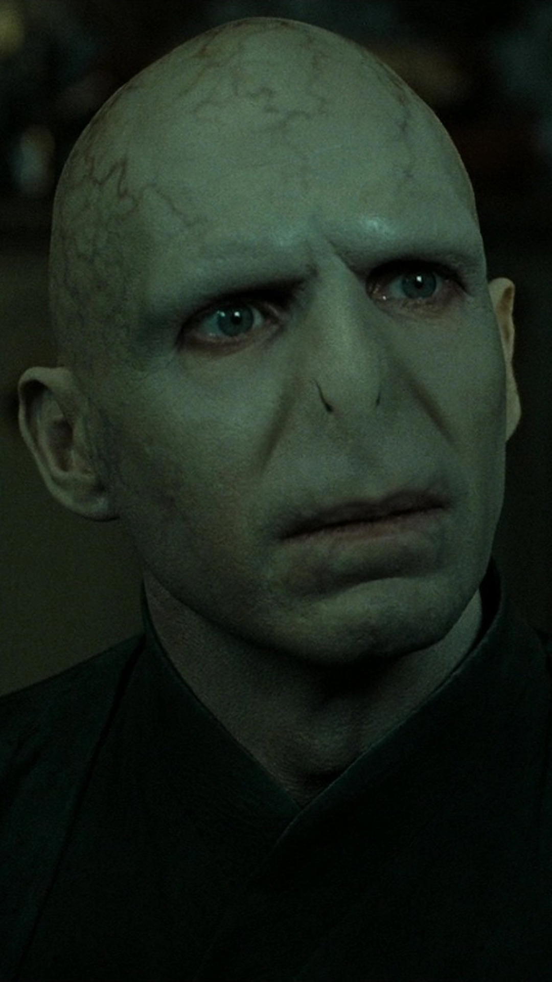 Harry Potter and the Deathly Hallows: Part 2