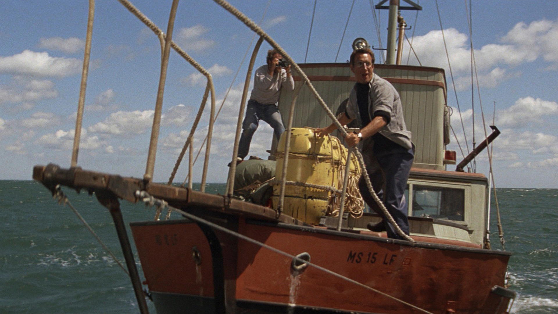 Jaws