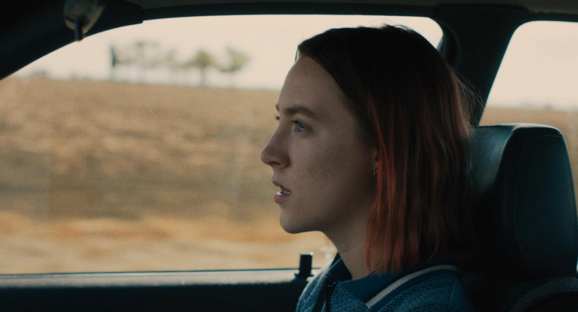 Lady Bird