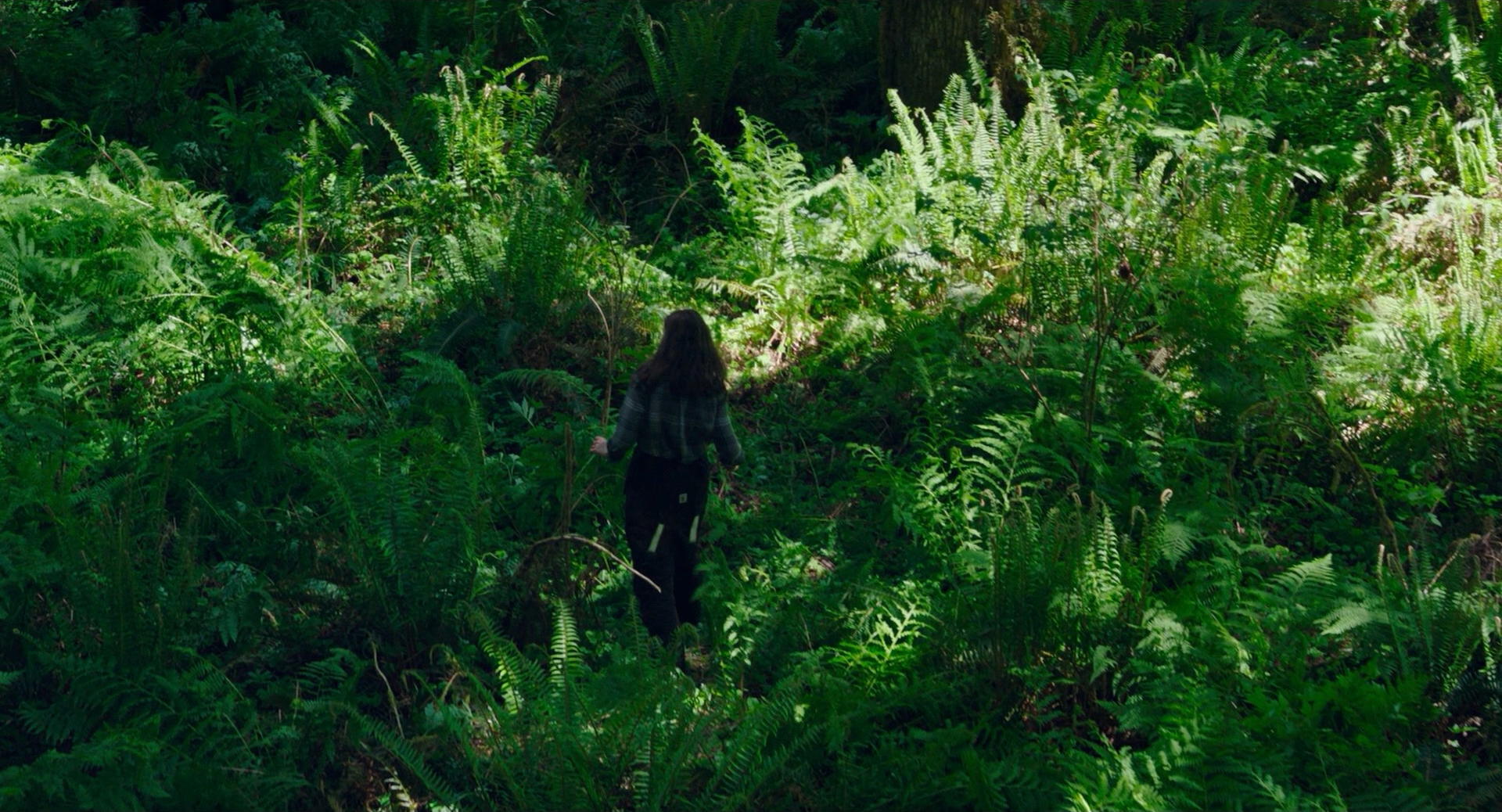 Leave No Trace
