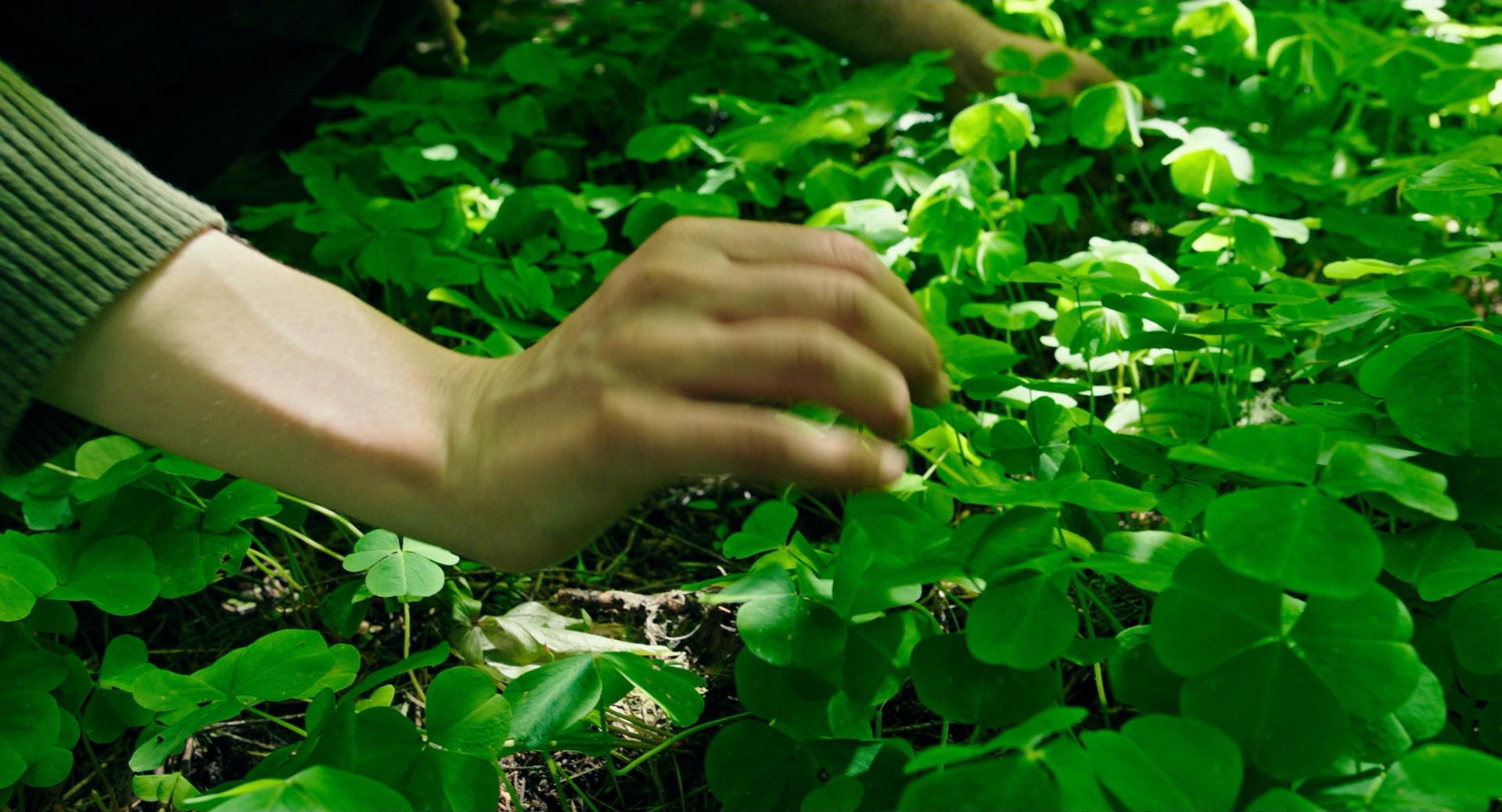 Leave No Trace