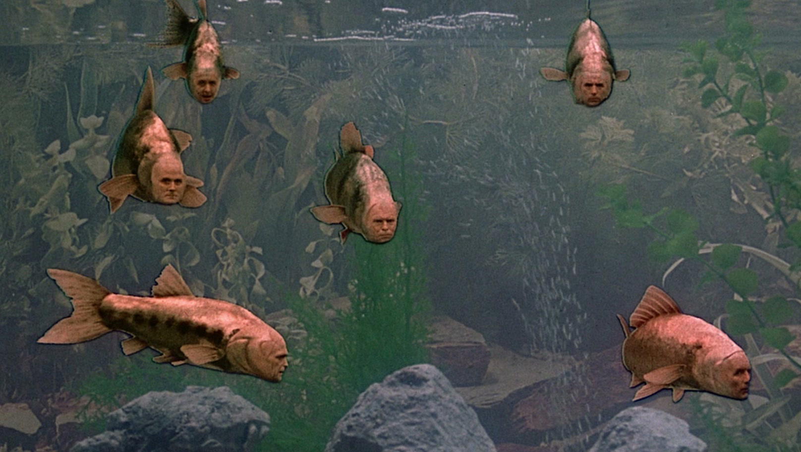 Monty Python's The Meaning of Life