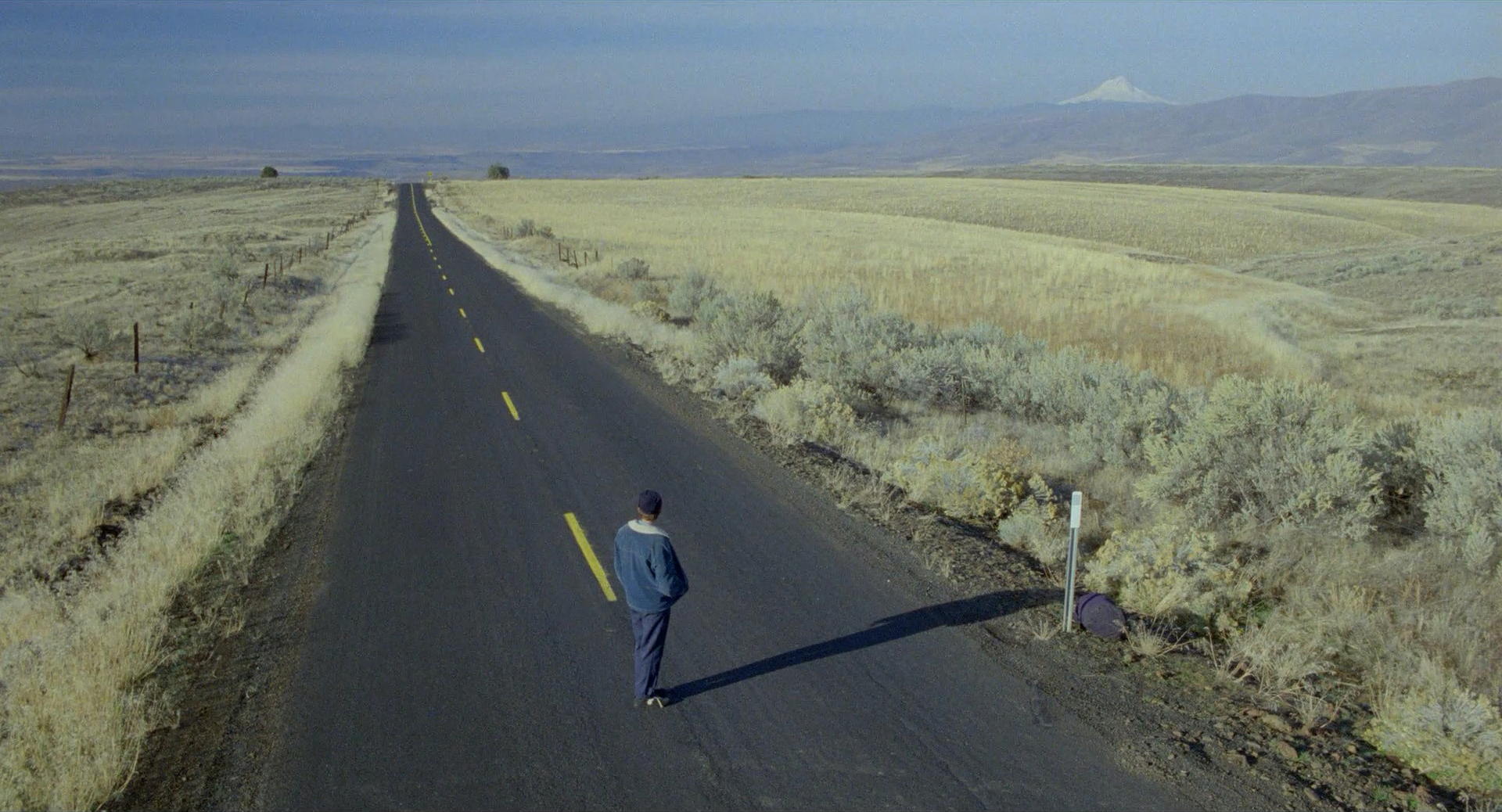My Own Private Idaho