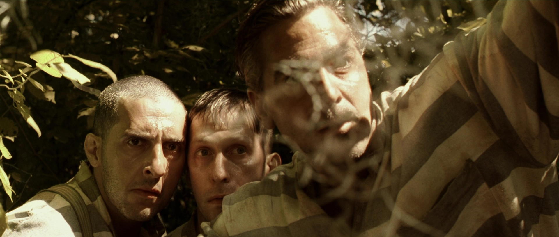 O Brother, Where Art Thou?
