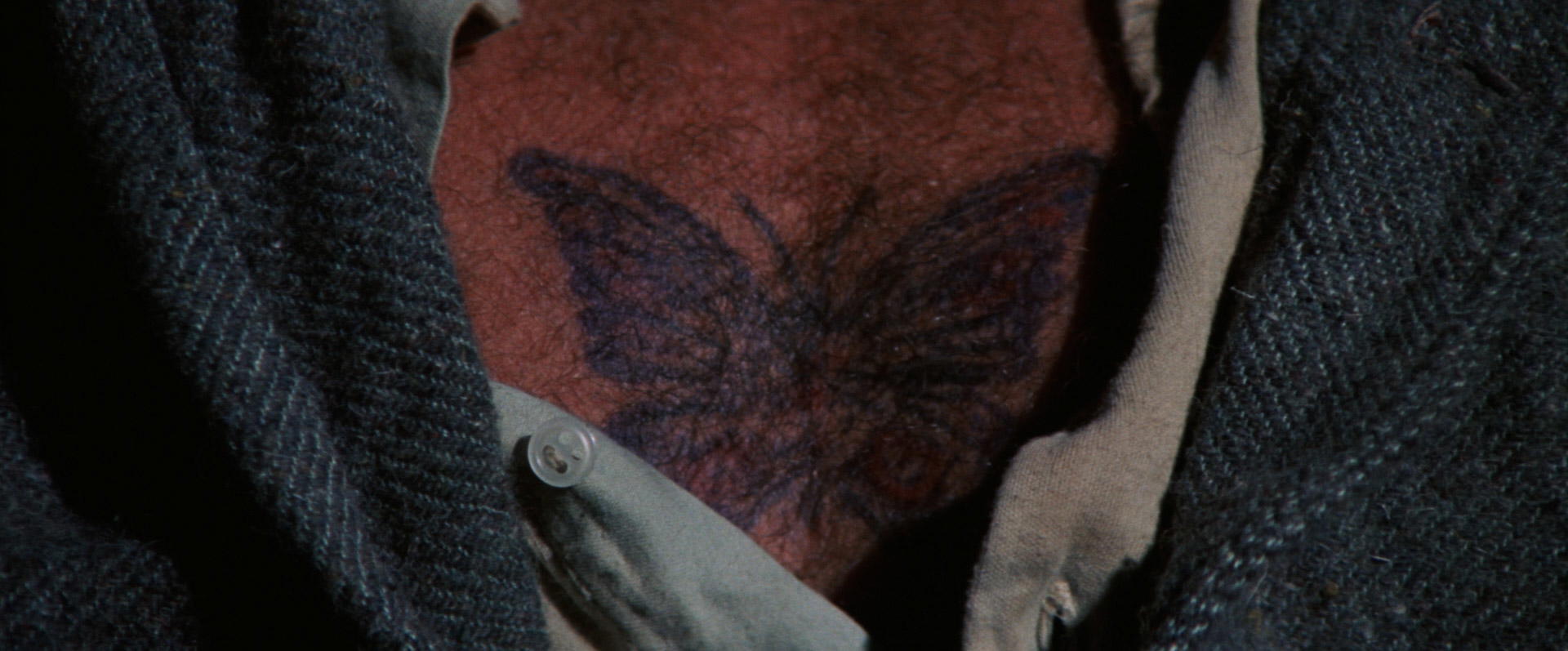 Papillon