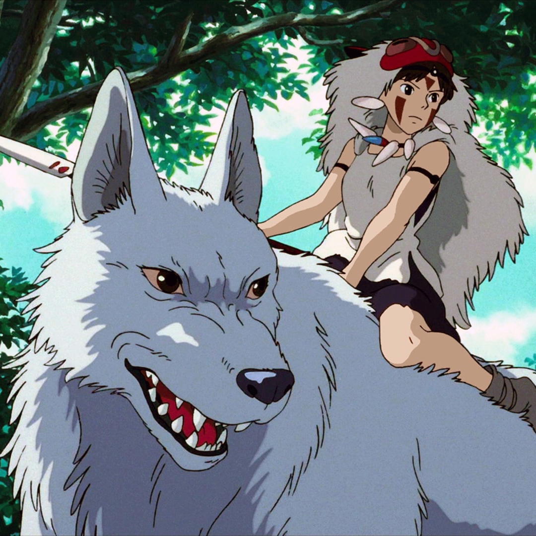 Adult Animation