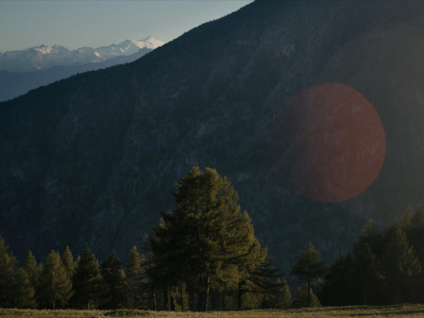 The Eight Mountains