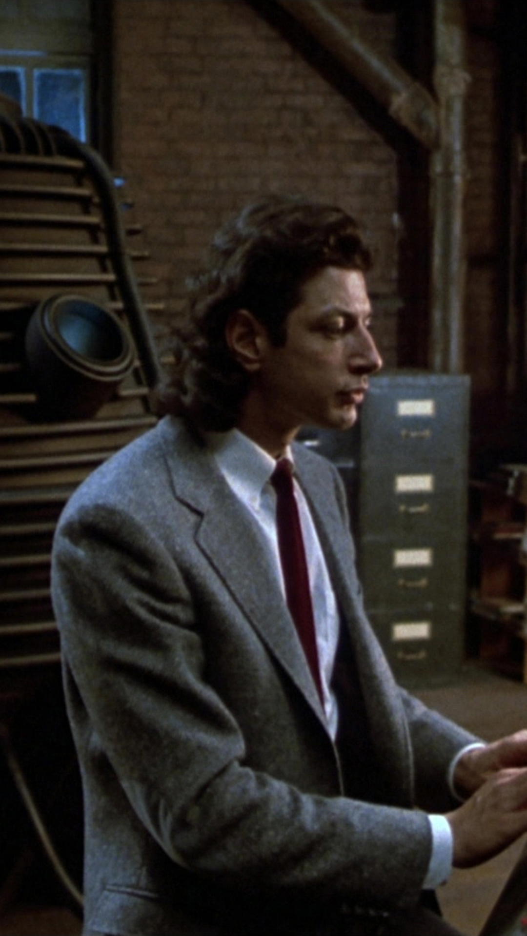 The Fly