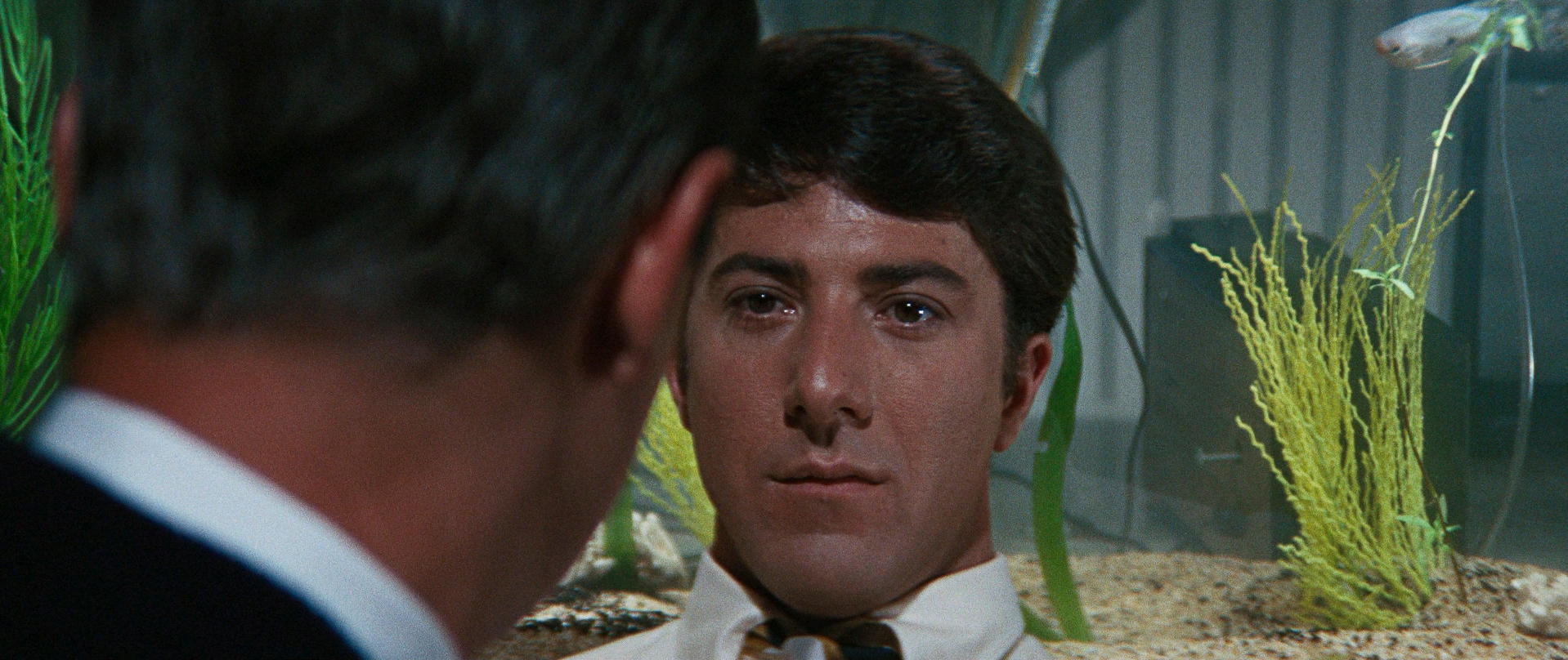 The Graduate