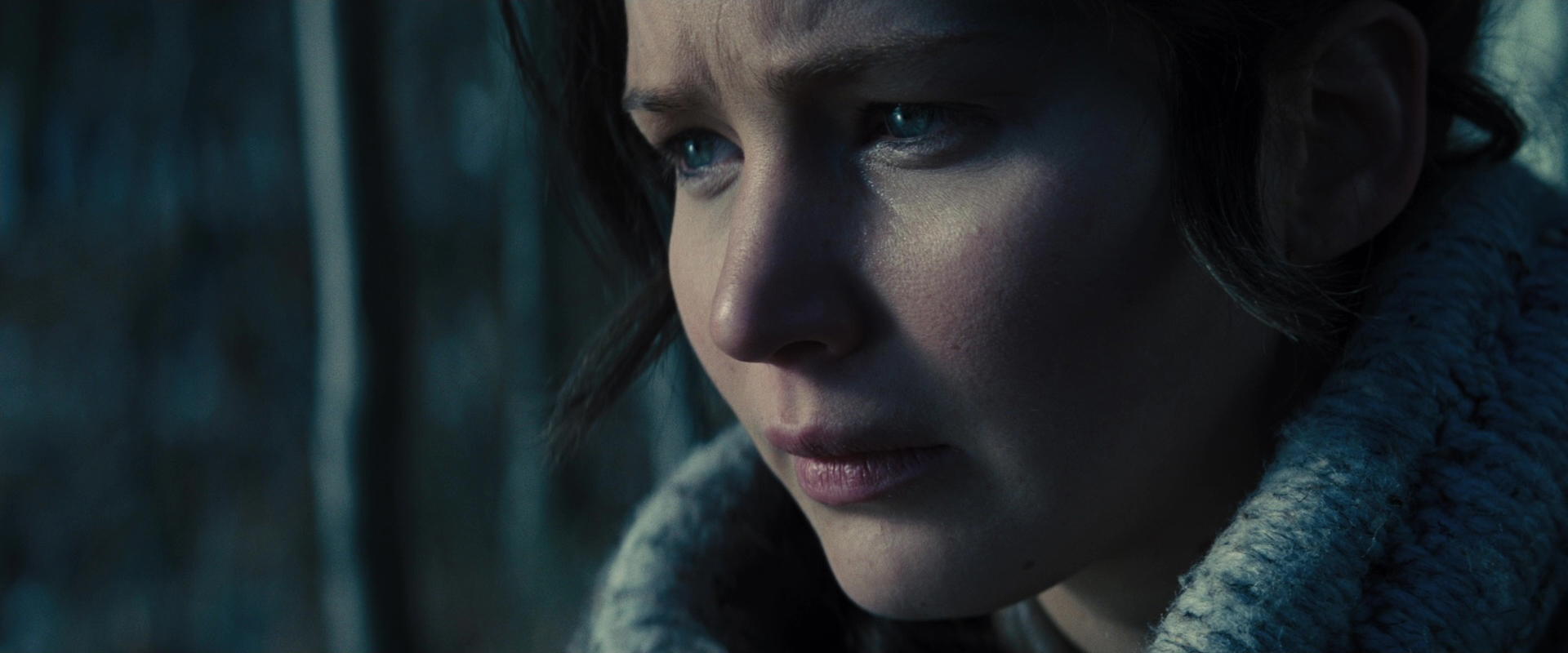 The Hunger Games: Catching Fire