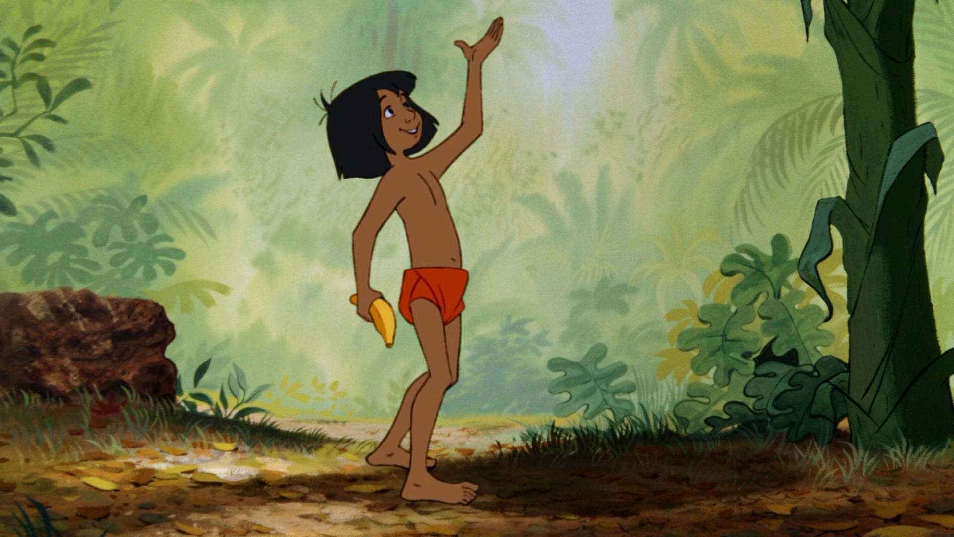 The Jungle Book
