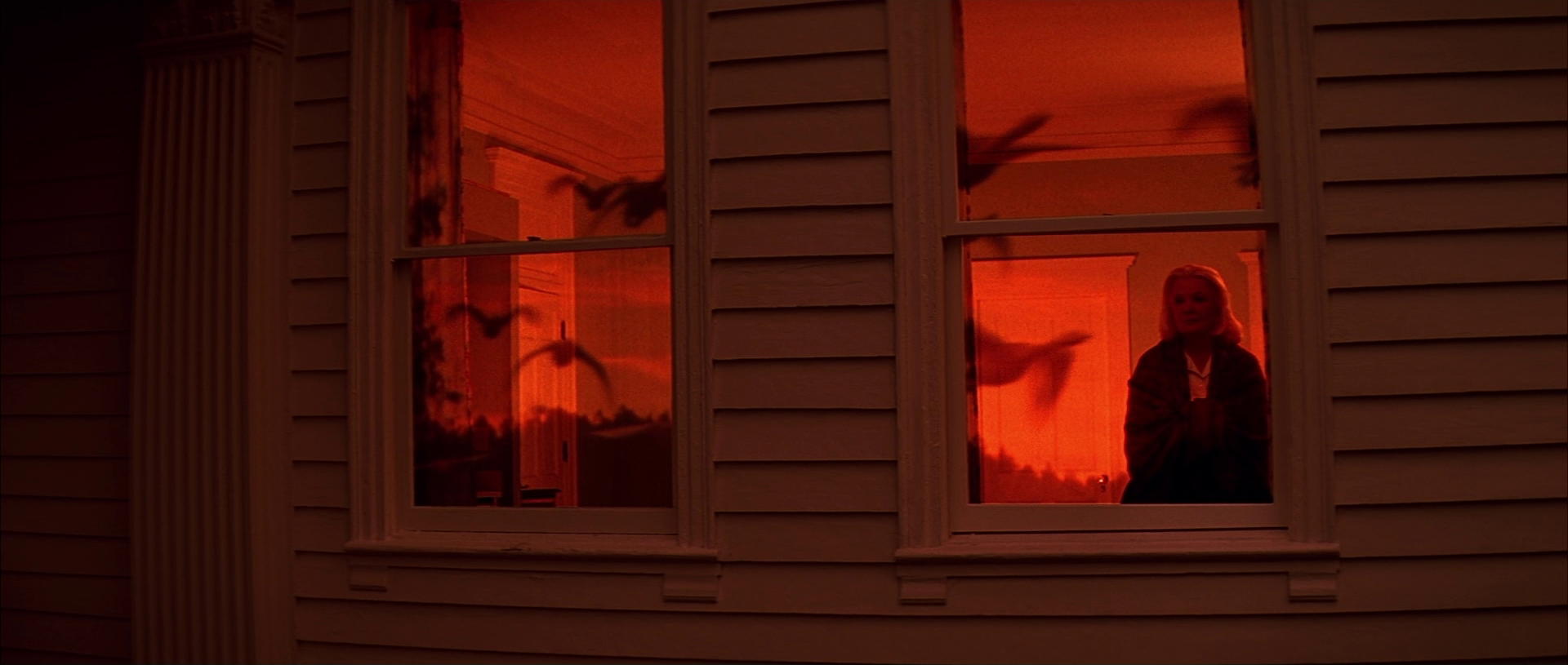 The Notebook