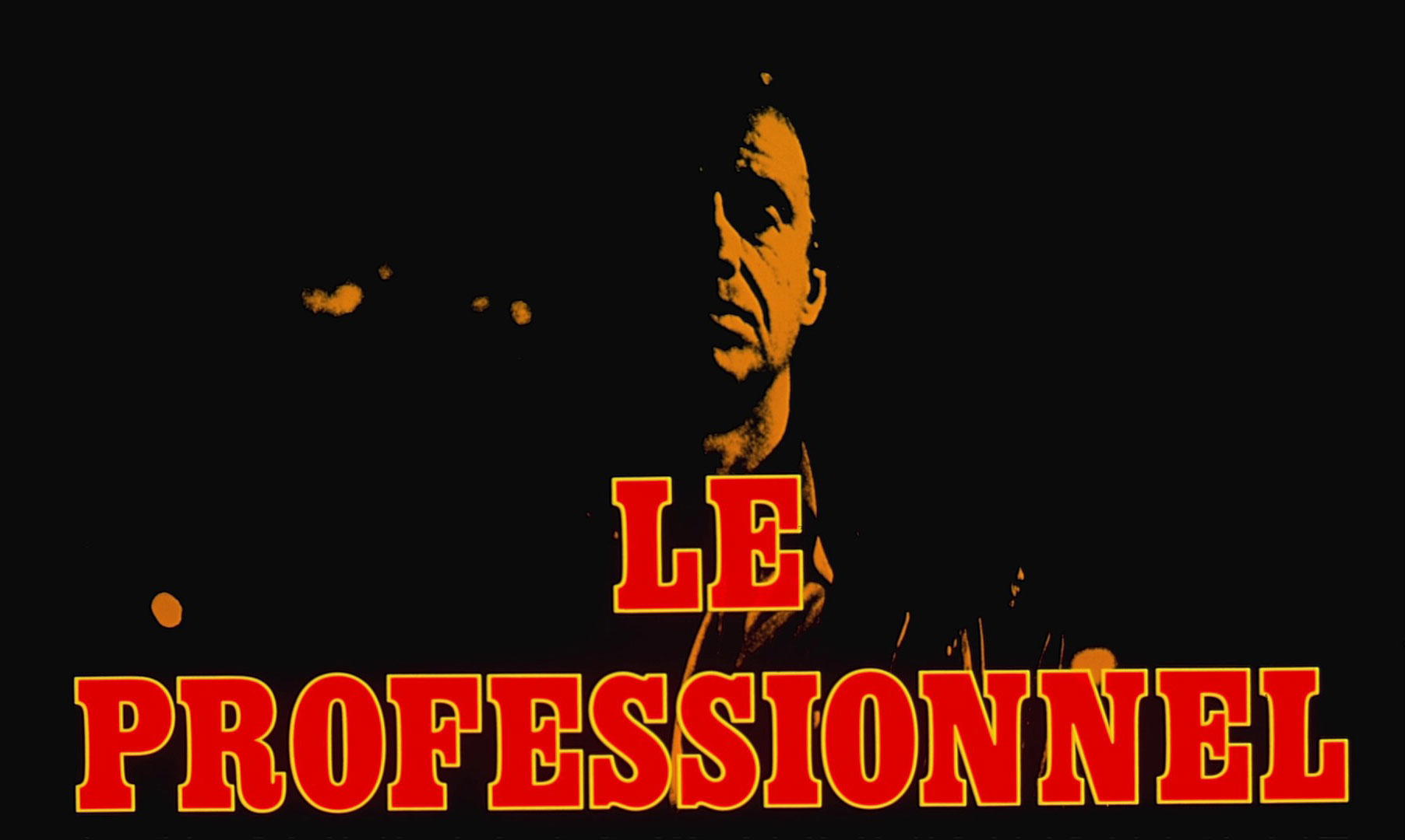 Le Professionnel