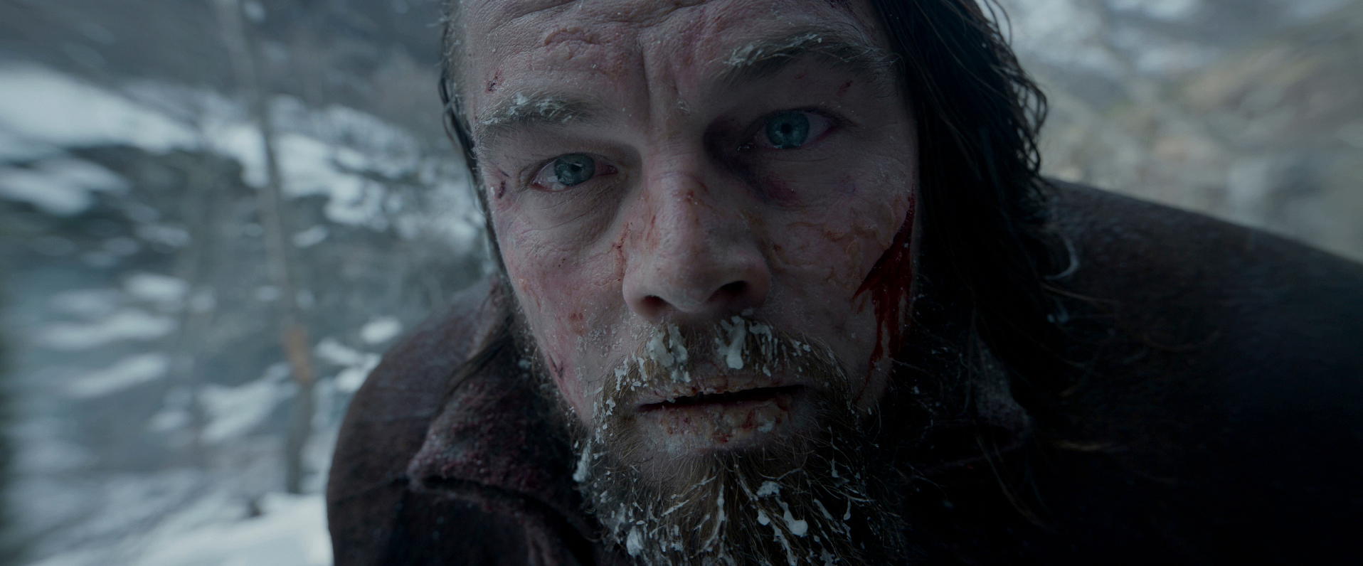 The Revenant