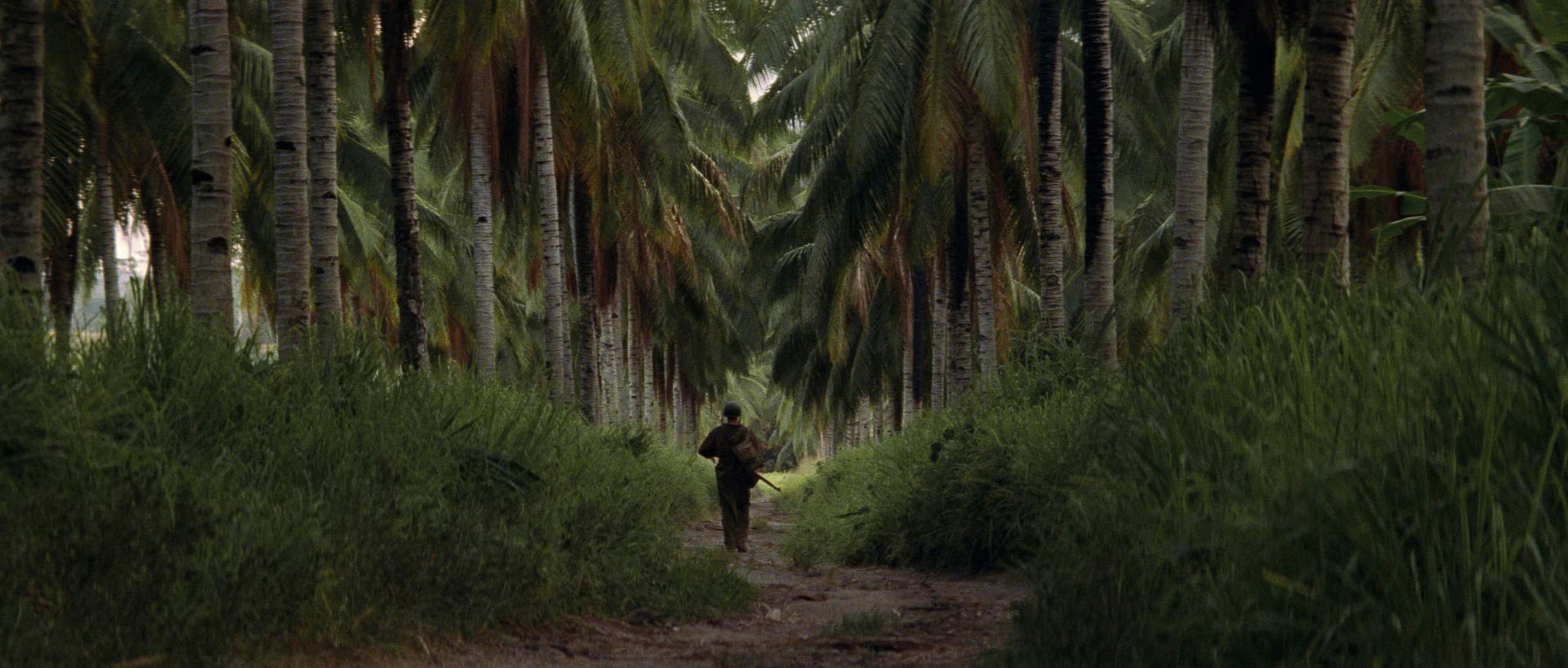 The Thin Red Line