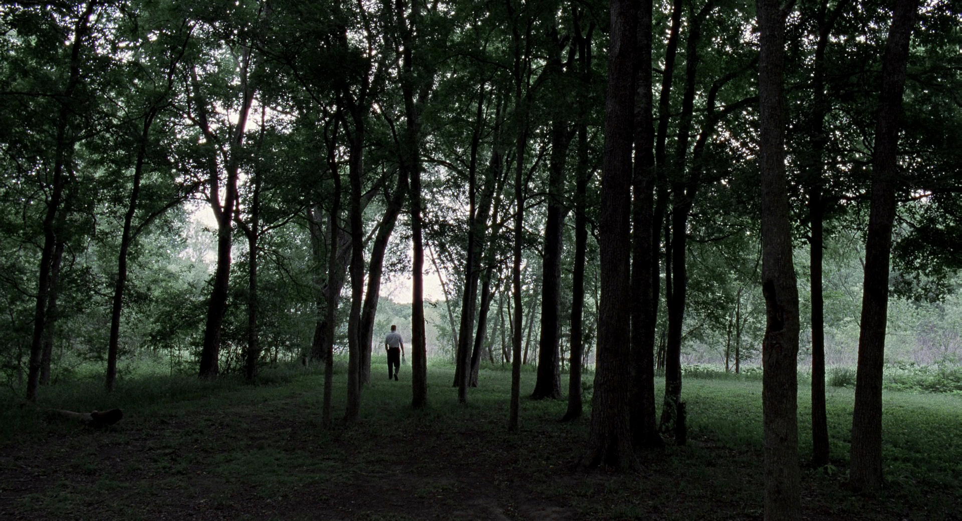 The Tree of Life