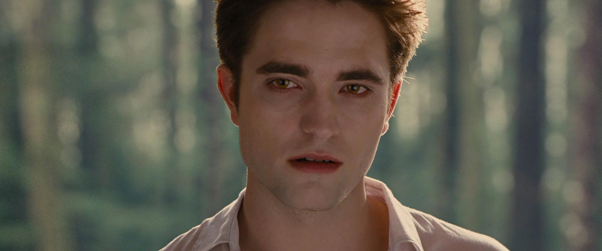 The Twilight Saga: Breaking Dawn - Part 2