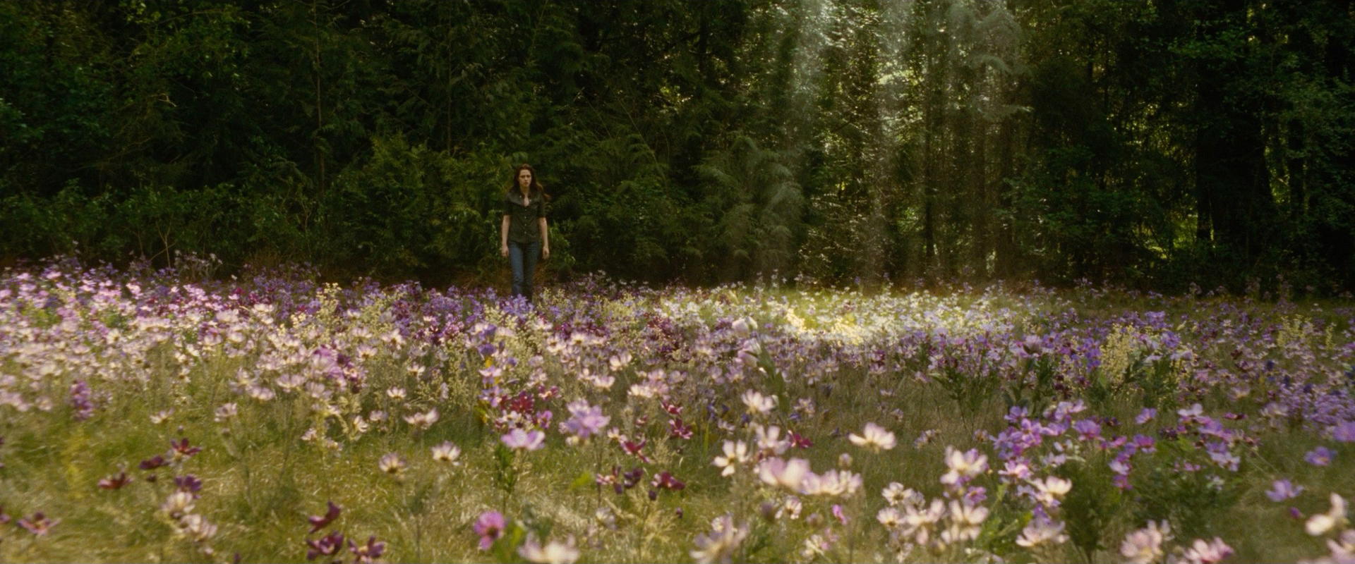 The Twilight Saga: New Moon