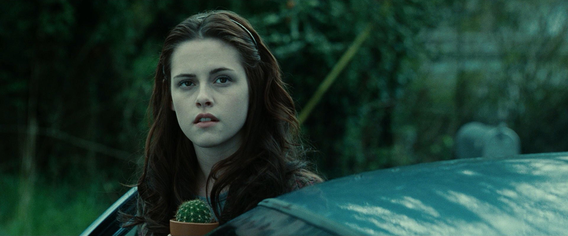 Twilight