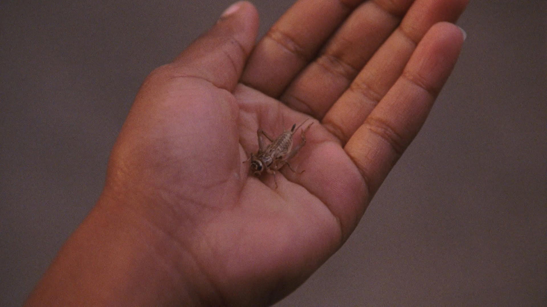 What's Love Got to Do with It