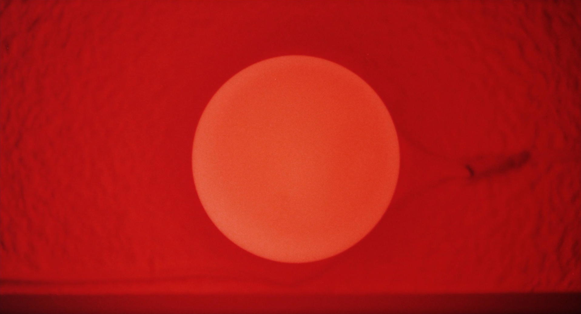 Women on the Verge of a Nervous Breakdown