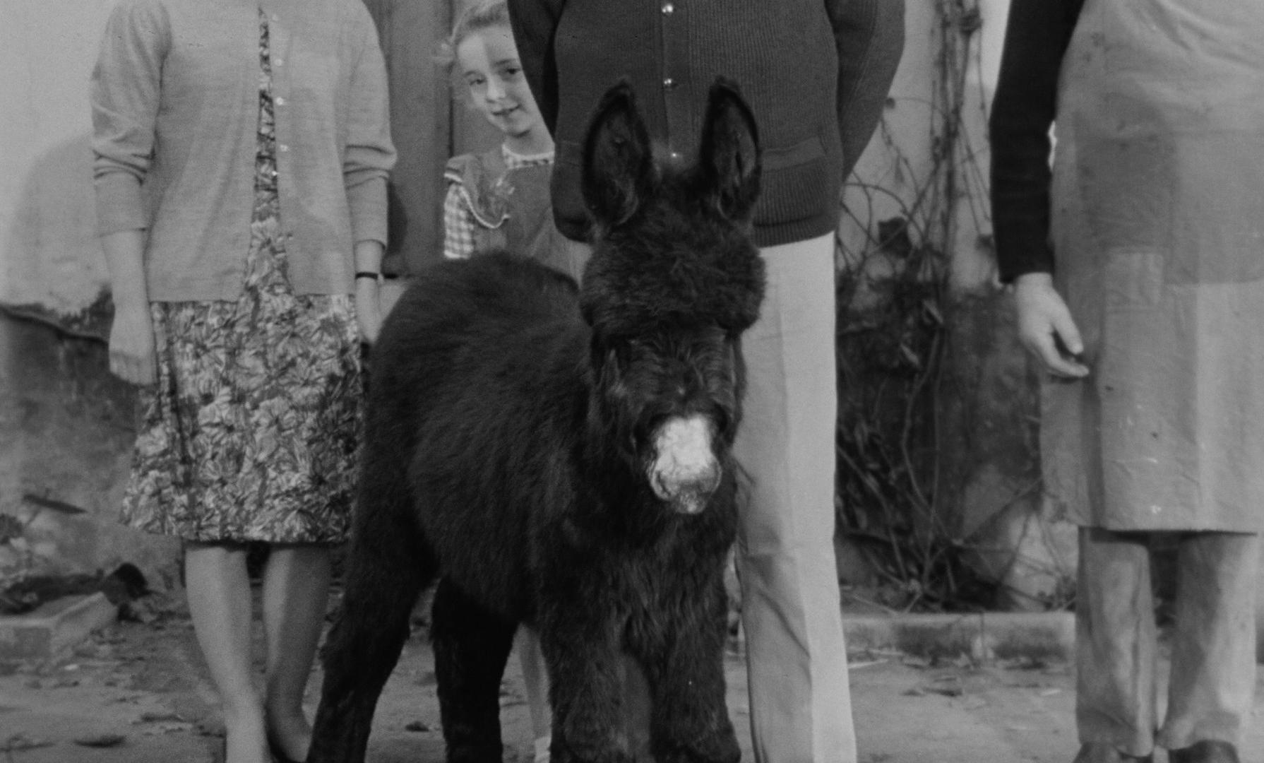 Au hasard Balthazar