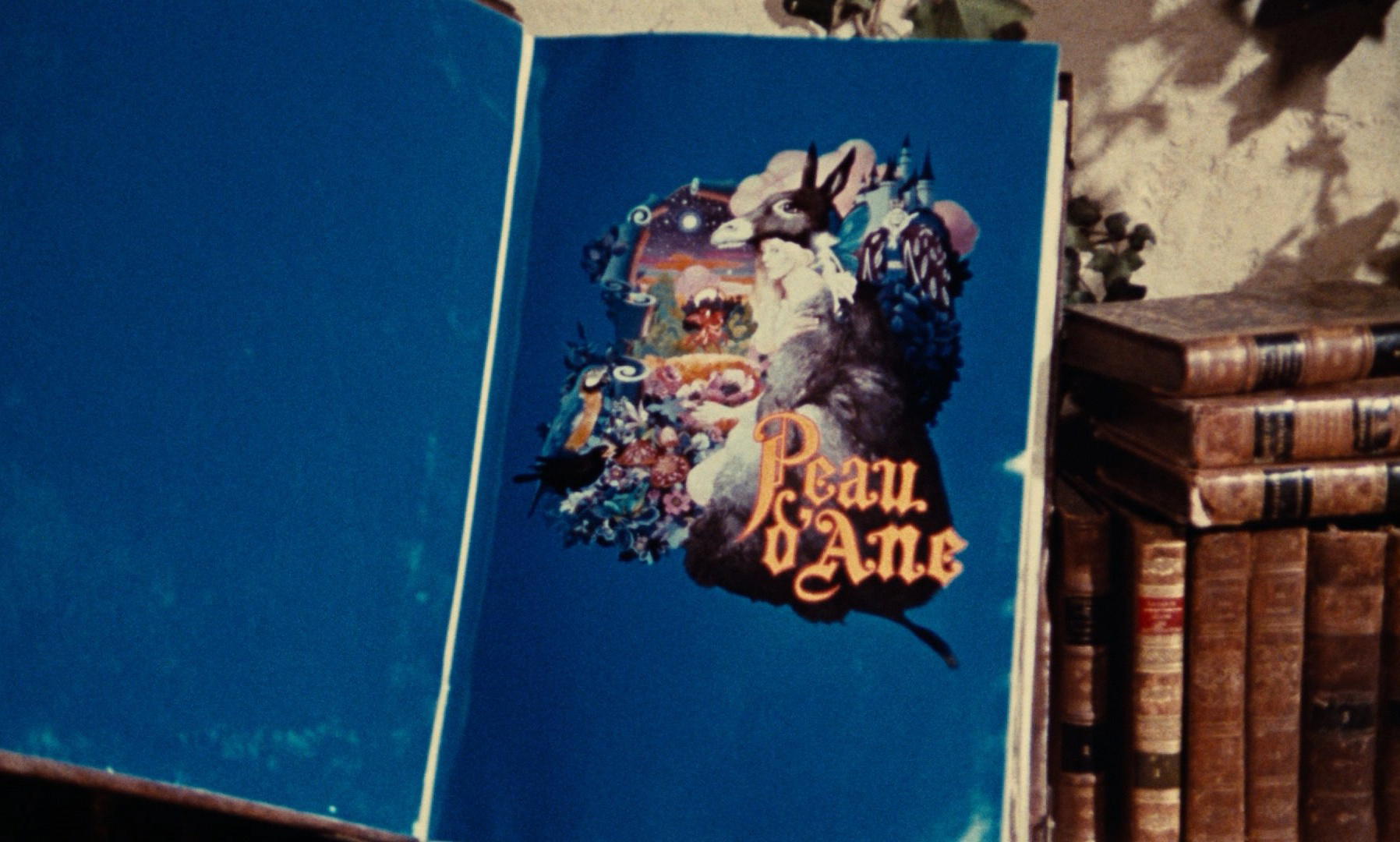 Peau d'âne