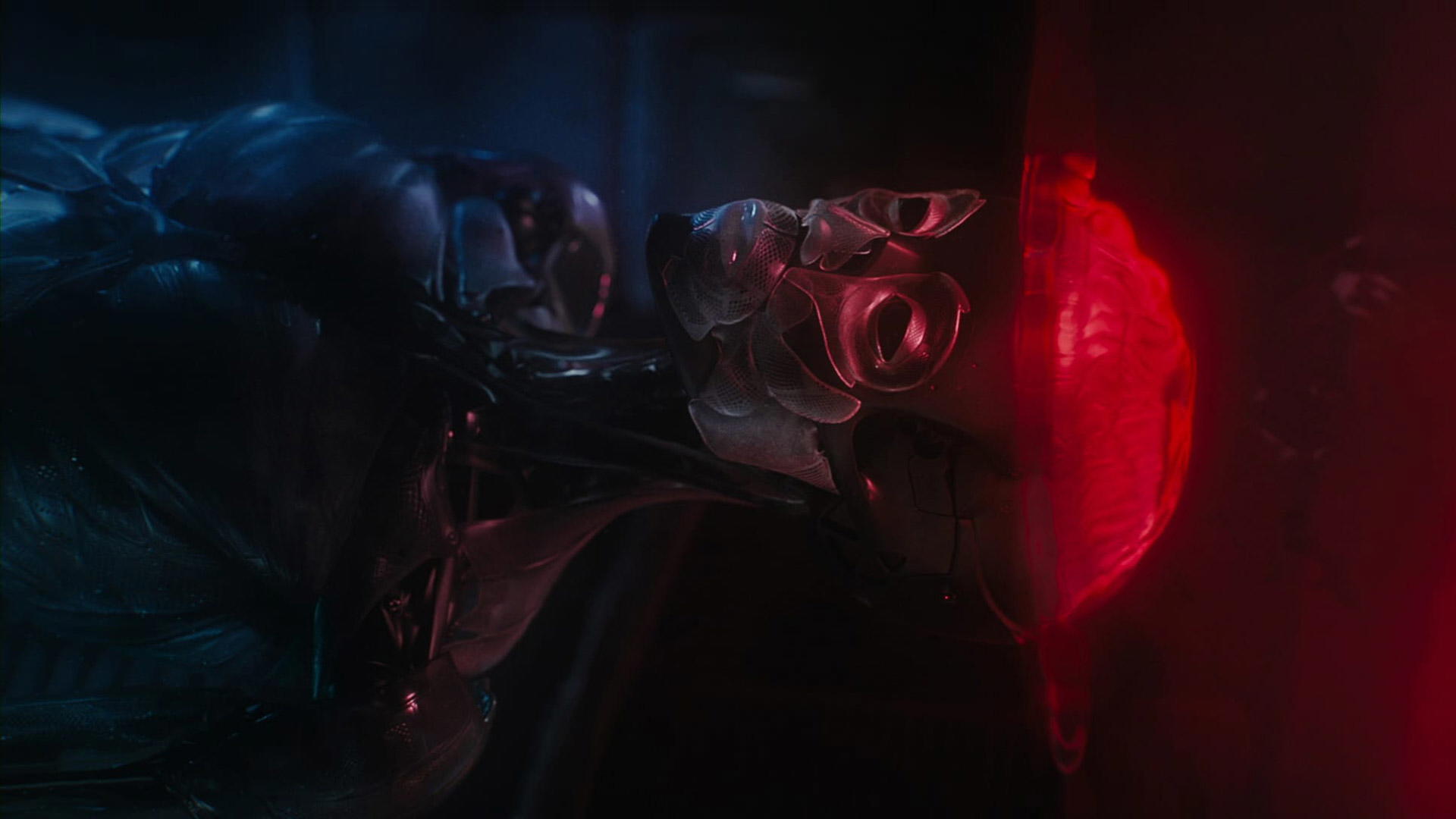 Ghost in the Shell