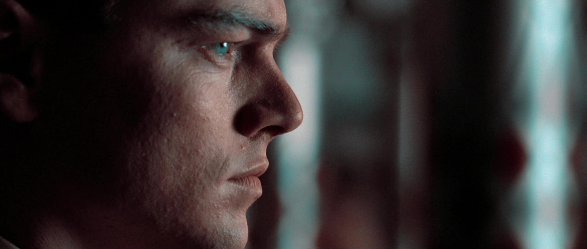 The Aviator