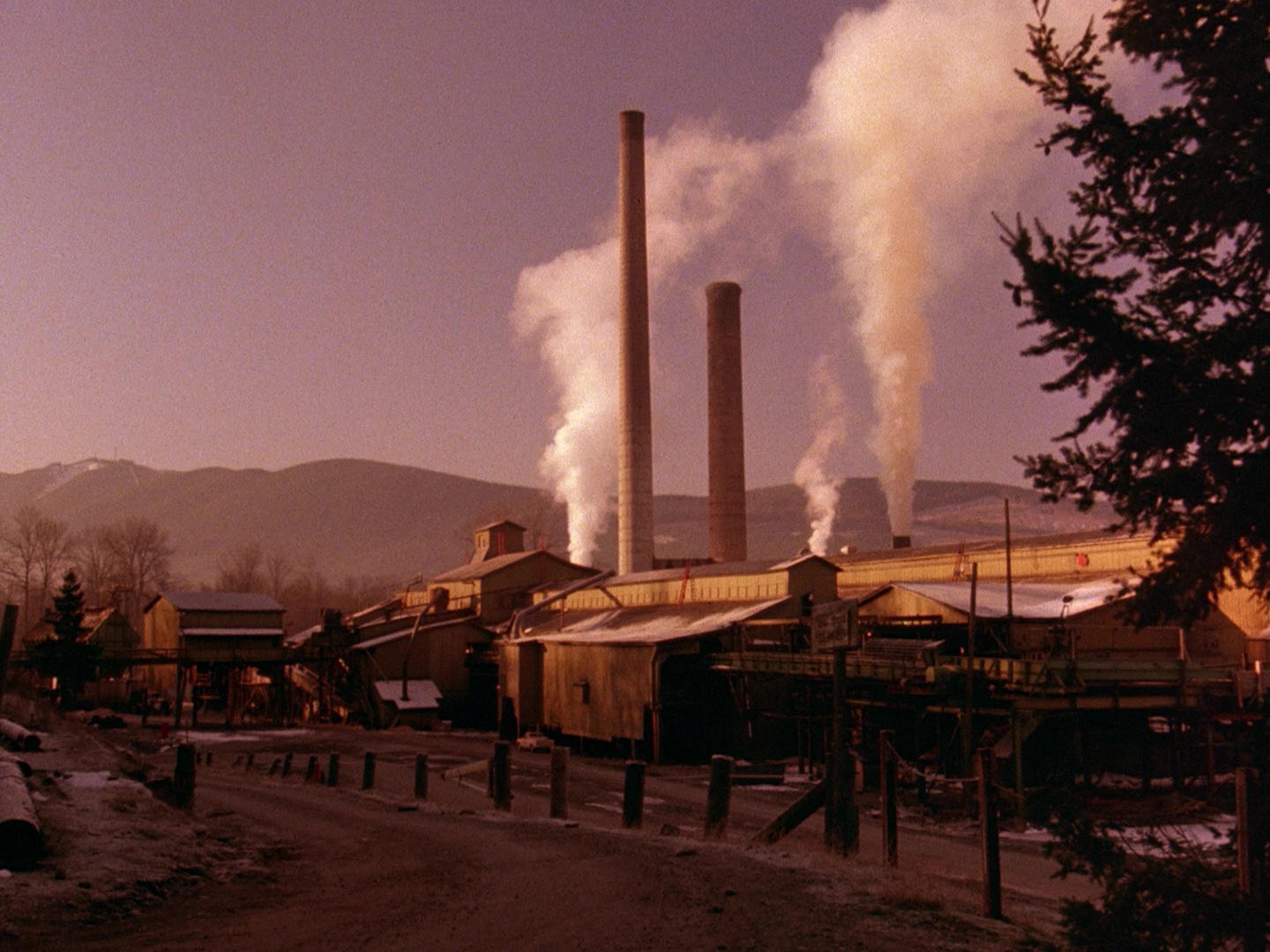 Twin Peaks – Pilot